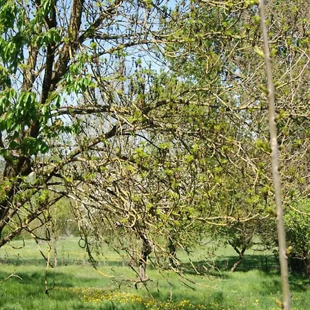 4-bedroom Alsace Retreat, Cleaning Included בית נופש Niderviller