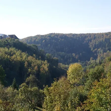 4-bedroom Alsace Retreat, Cleaning Included * Niderviller